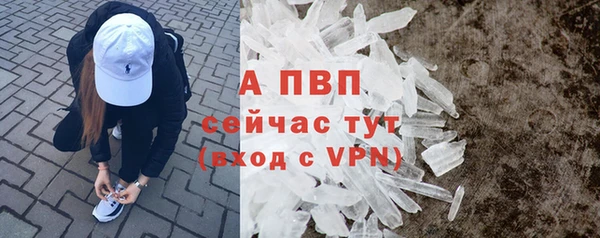 амф Алексин