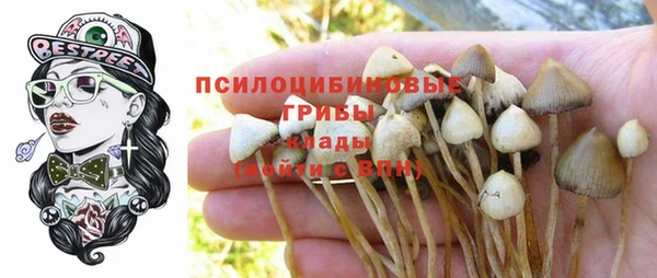 амф Алексин