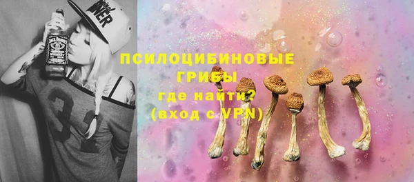 амф Алексин
