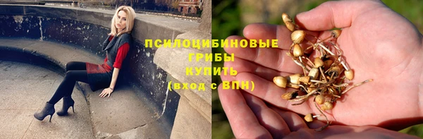 mdpv Алзамай