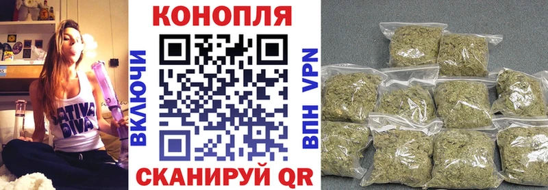 Конопля план  купить наркотики цена  Ковдор 